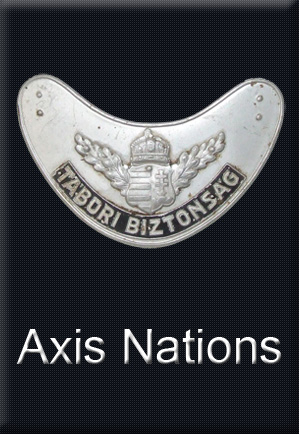 Enter Axis Nations